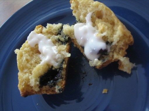 vegan blueberry coconut muffins